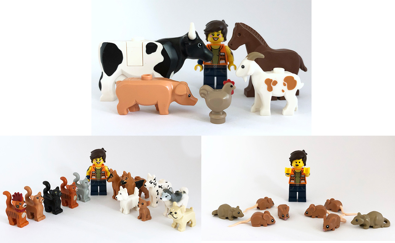 Evolution of LEGO Animals The Changes They Went Under Since 1983