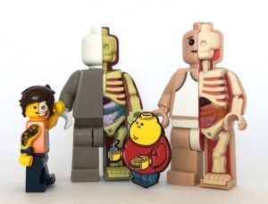 Lego minifigure, micro anatomic figures and Chunky Lego